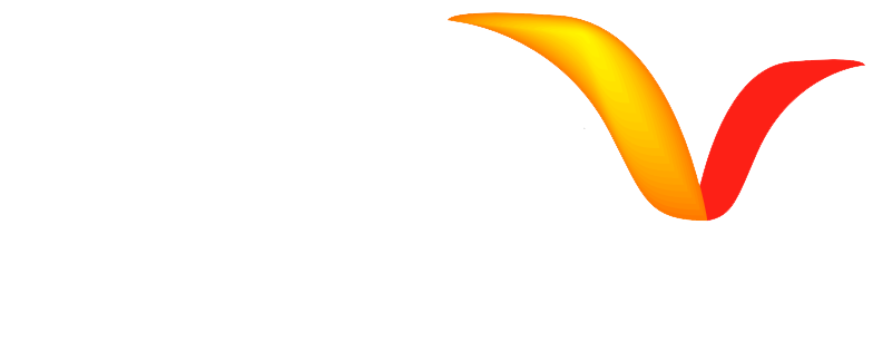 Versa Partner